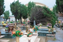 Un albero sradicato dal vento nel cimitero di Angri
