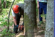 Arretrati stipendiali, accredi in arrivo. Boccata d'ossigeno per i lavoratori